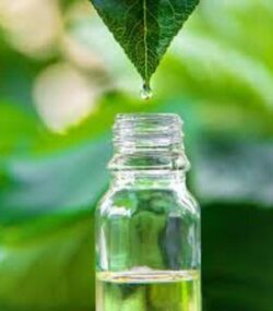 Tea Tree Oil