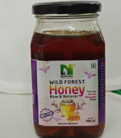 Wild Forest Aravali Range Honey in Bangalore India | Nurtura